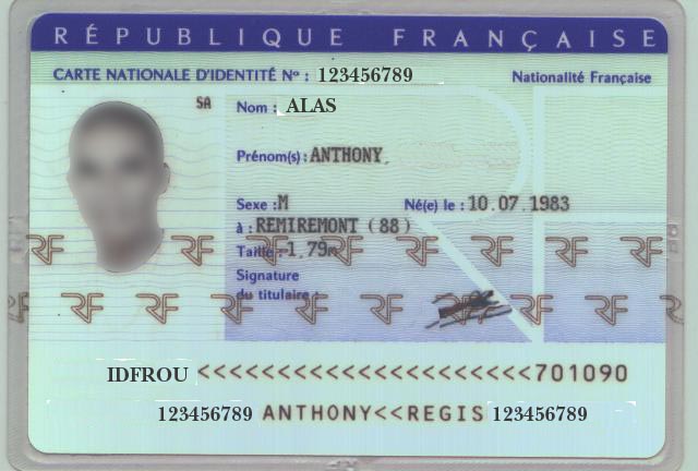 Hard case for carte d'identité card/document? - FlyerTalk Forums
